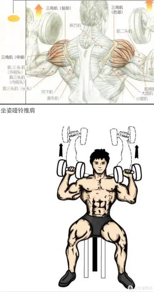 晨聊 篇二:一副哑铃也能练肌肉? —— 家庭"迷你健身馆"筹建记(2)