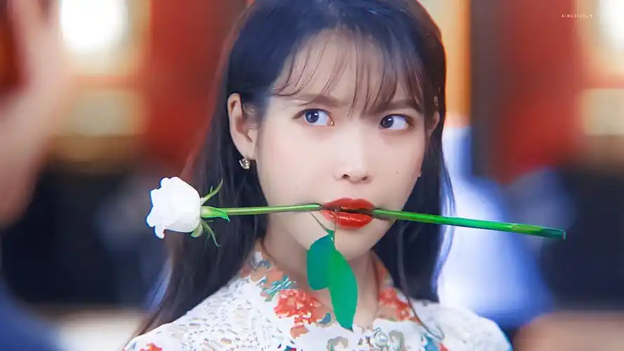 iu | 德鲁纳酒店 cr:黑崎一贤 - 堆糖,美图壁纸兴趣社区