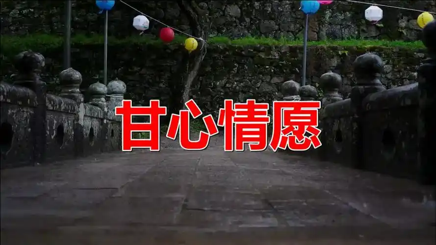 经典老歌:《甘心情愿》歌曲旋律动听优美,歌词有诗情画意