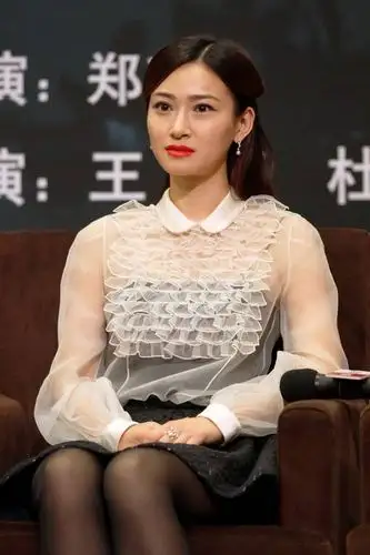 《大汉口》登北京卫视 王姬亮相发福风韵犹存 (5)