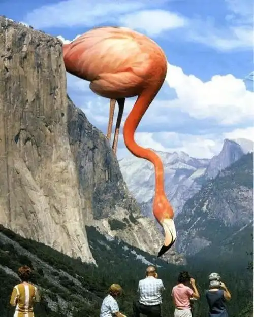 最有意思的图片24张有意思的照片