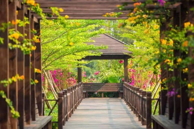 海南恒大御海天下一处诗意园境让惬意生活实至名归