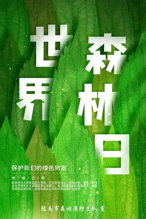 世界森林日|身"林"其境,共同守护"森"世界