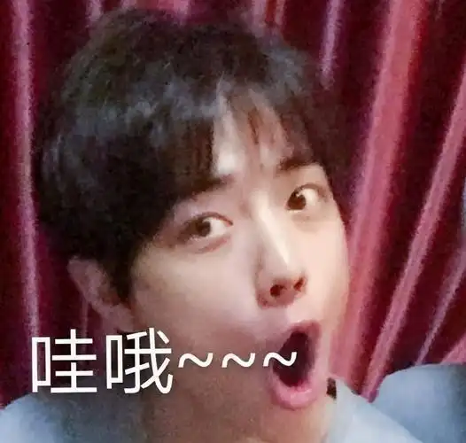 肖战表情包合集|闭嘴,今晚鲨了你_手机搜狐网