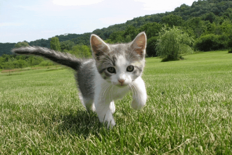 1920_1280gif 动态图 动图