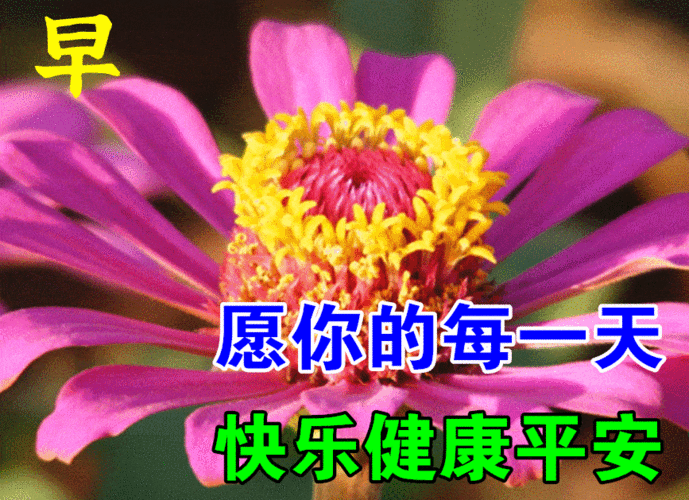 最漂亮早上好动态表情图片大全,早晨好动图美图大全_祝福