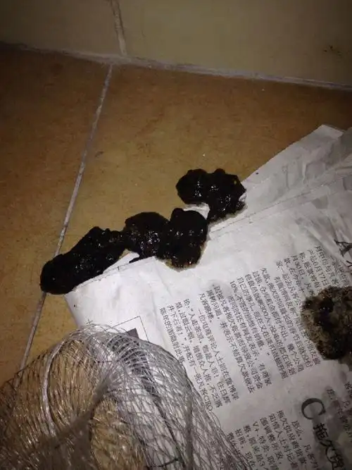 稀便沥青样粘稠