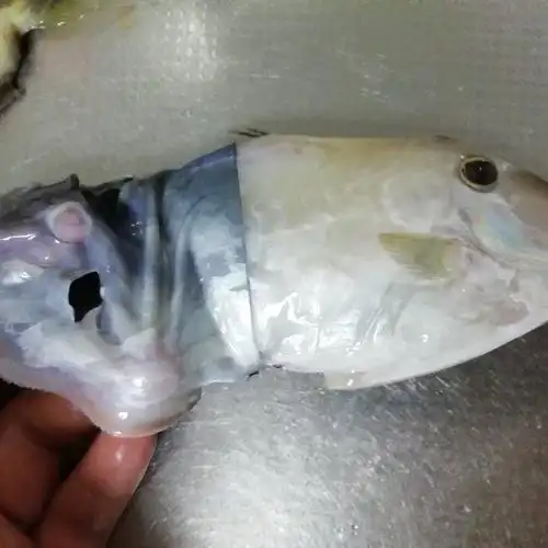 油酥牛鱼的做法,肉质细嫩鲜香,味道非常棒