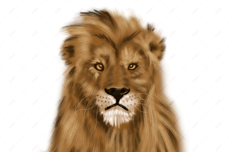 可爱狮子手绘插画psd