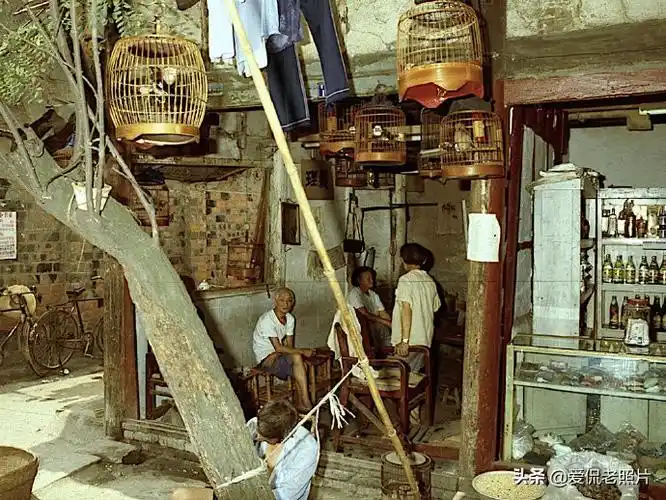 90年代的成都老照片:3.2元一斤的红板兔,你吃过没?