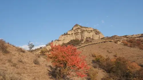新疆伊犁州霍城县中华福寿山摄影铜川黄风升