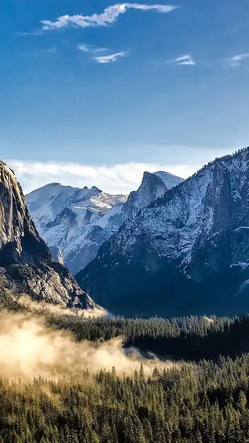 4k手机壁纸竖屏 - 搜狗图片搜索