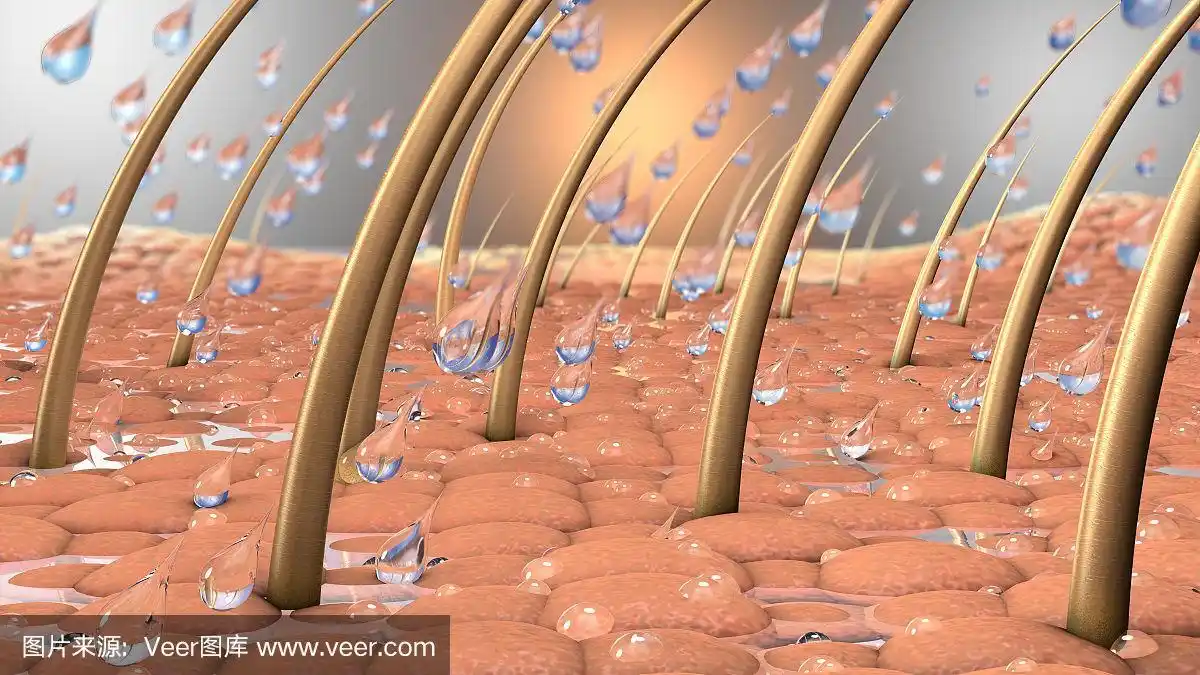 水滴的3d插图与头发和发根的皮肤的近距离的一部分