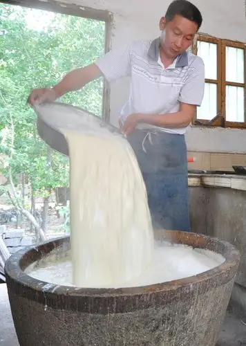 豆腐的制作(豆腐的制作工艺流程)