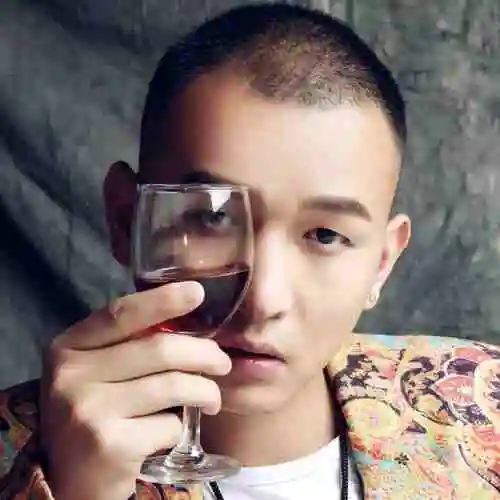 华语男歌手无耻头像