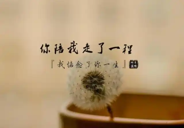 想一个人好苦,爱一个人好心累,忘了你好难