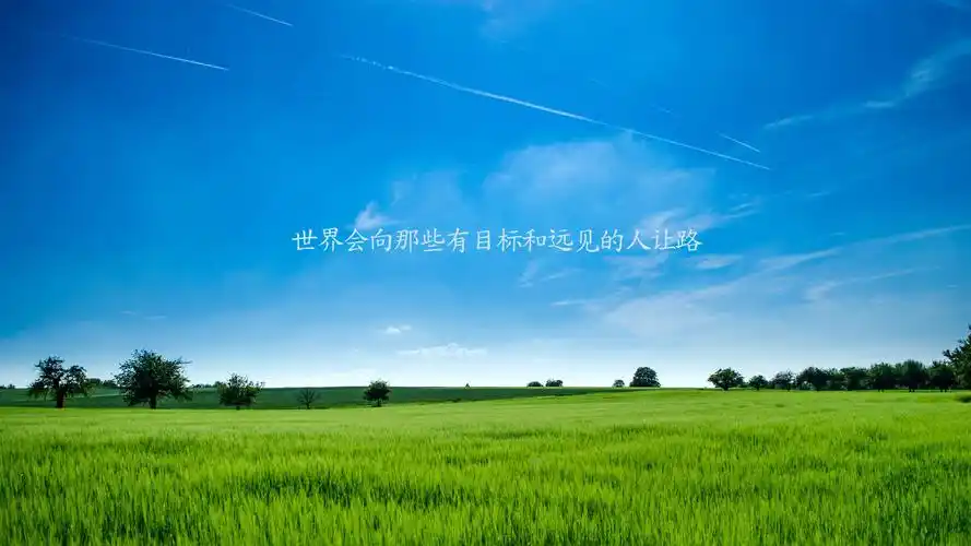 每天早上自我激励的励志语录图片