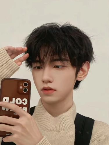 网红假发男生短发碎盖齐刘海自拍蓬松学生发型潮流日常黑色全头套