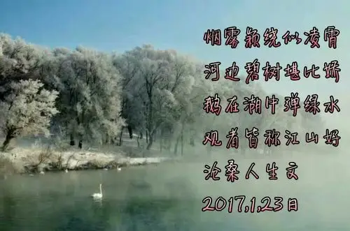 美图(朱峰堂小蜜蜂)拙文(沧桑人生即兴)