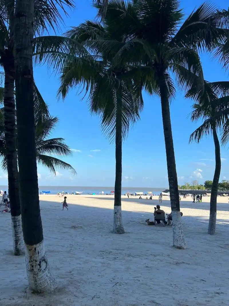 珠海白沙滩9915 9415要在这边实习三个月 说实话刚开始找工作