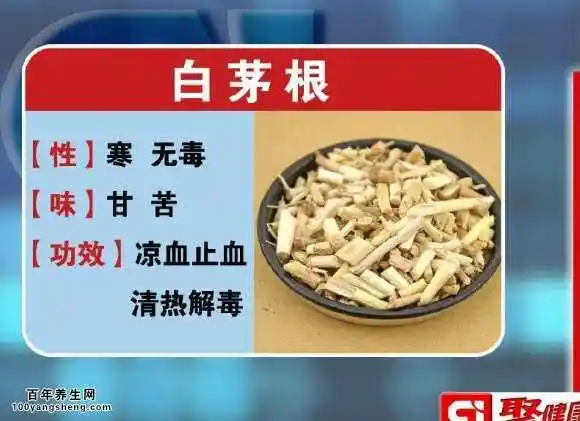 白茅根的功效