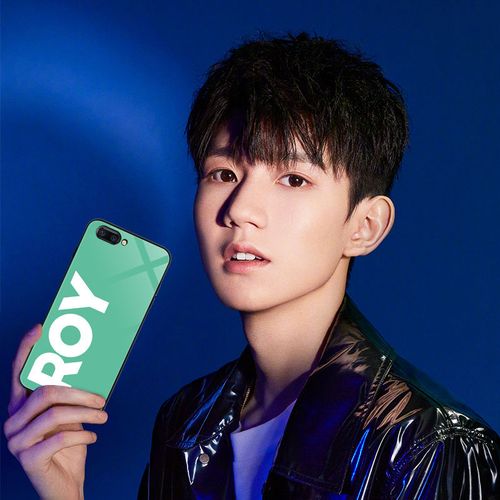 王源手机壳oppo r15同款r17版r11s定制r11plus绿色r17pro代言roy
