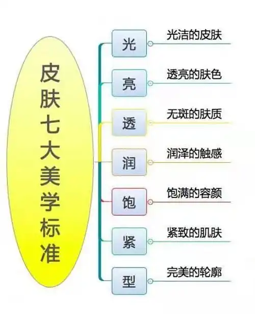 每天涂涂抹抹的脸蛋,你知道它的构造吗?