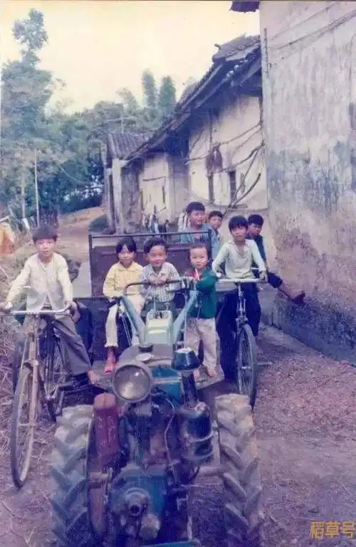 80后的老照片儿时的回忆八十年代出生的我童年的记忆