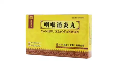 咽喉消炎丸(东芝堂药业)主图