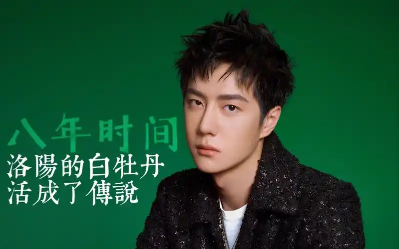 八年,洛阳的白牡丹,活成了传说「王一博出道八周年贺频」_哔哩哔哩
