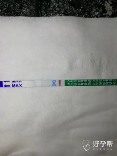 大早起床用大卫早早孕试纸测试了一下,好像有灰印,我大概27号的月经期