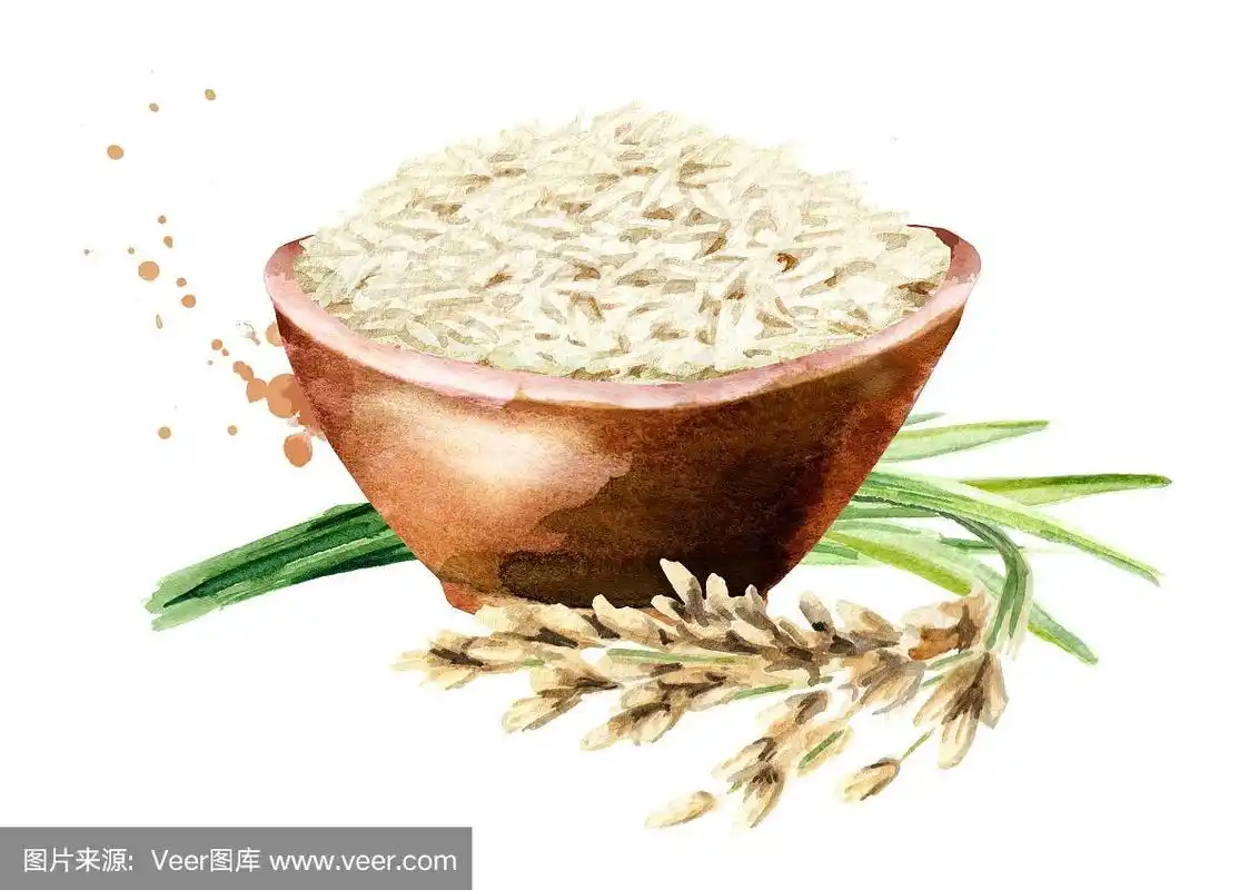 一碗白米饭.水彩手绘插图,孤立的白色背景