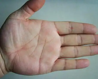 如果你不努力工作,即使最好的手相纹路也是穷人.