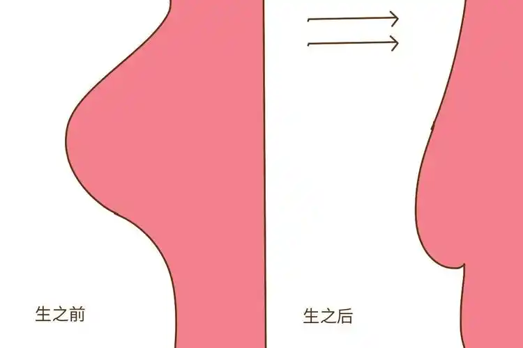 生过孩子和没生过孩子的女人有什么不一样从里到外都不一样