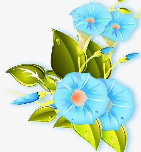 装饰牵牛花免抠素材