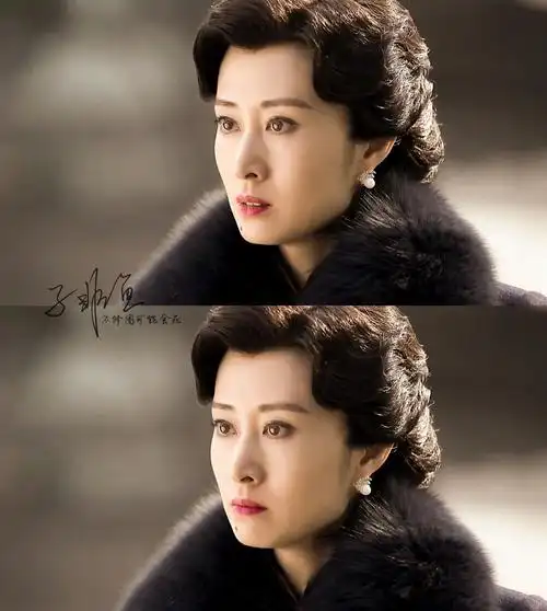 伪装者明镜刘敏涛