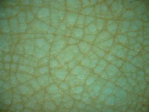 汝窑微观学何为开片开片分几种浅述汝窑开片的细节特征