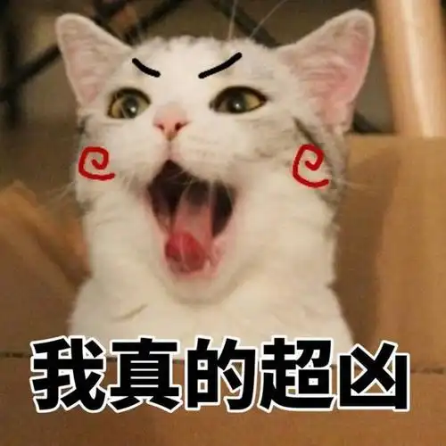 是在qq群里流行起来的一张请问您今天要来点兔子吗的香风智乃的表情包