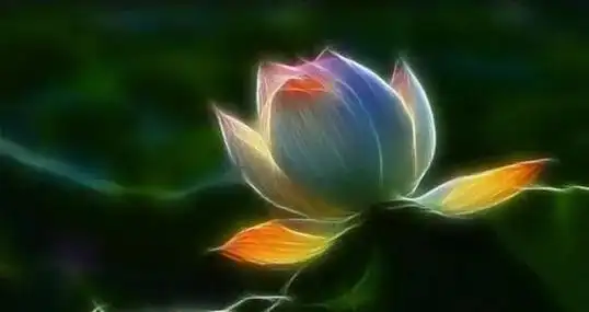 极乐世界的莲花,看看有你的名字吗?