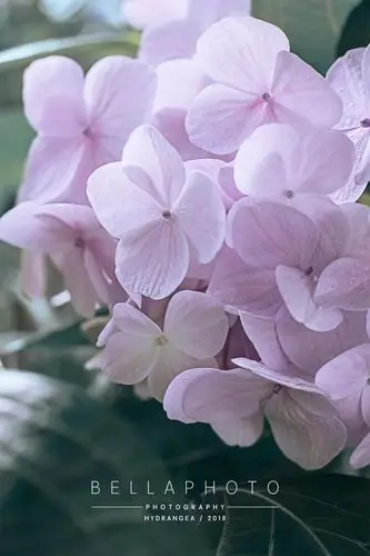 1666_2500竖版 竖屏