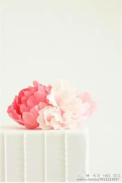 图文语录 - 不联系就不联系这样也挺好