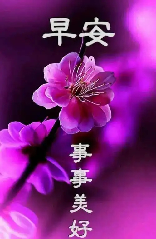 原创10月9日秋季超级漂亮早上好表情图片带鲜花 2021最新版早上好动态