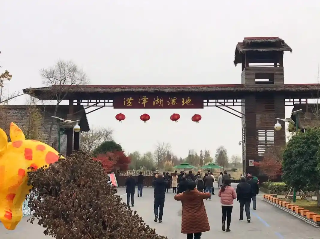 中国·江东 泗洪洪泽湖湿地 攝影基地 江苏有福短行业体会 人 - 抖音
