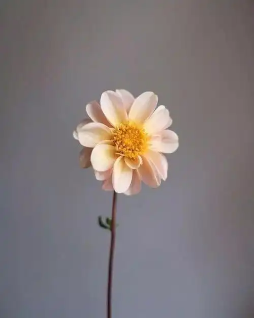 说说心情的句子配图深夜朋友圈短句