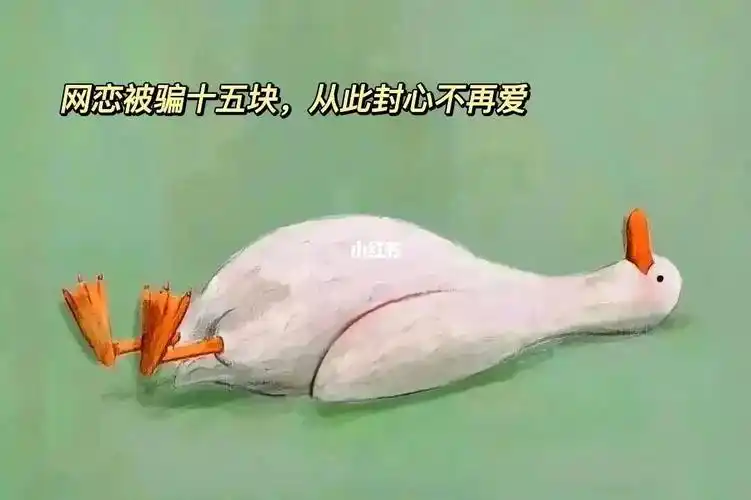 网恋被骗十五块从此封心不再爱