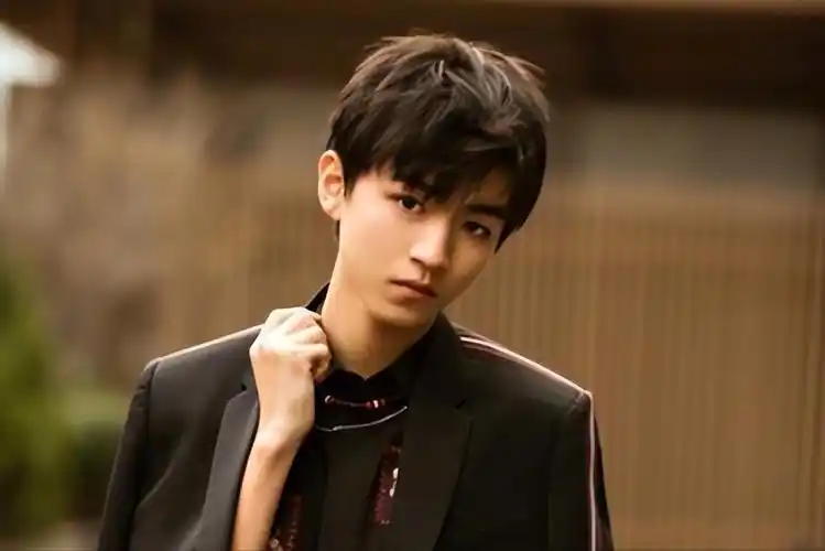 王俊凯个人资料(王俊凯:17岁的时候身价就过2亿)