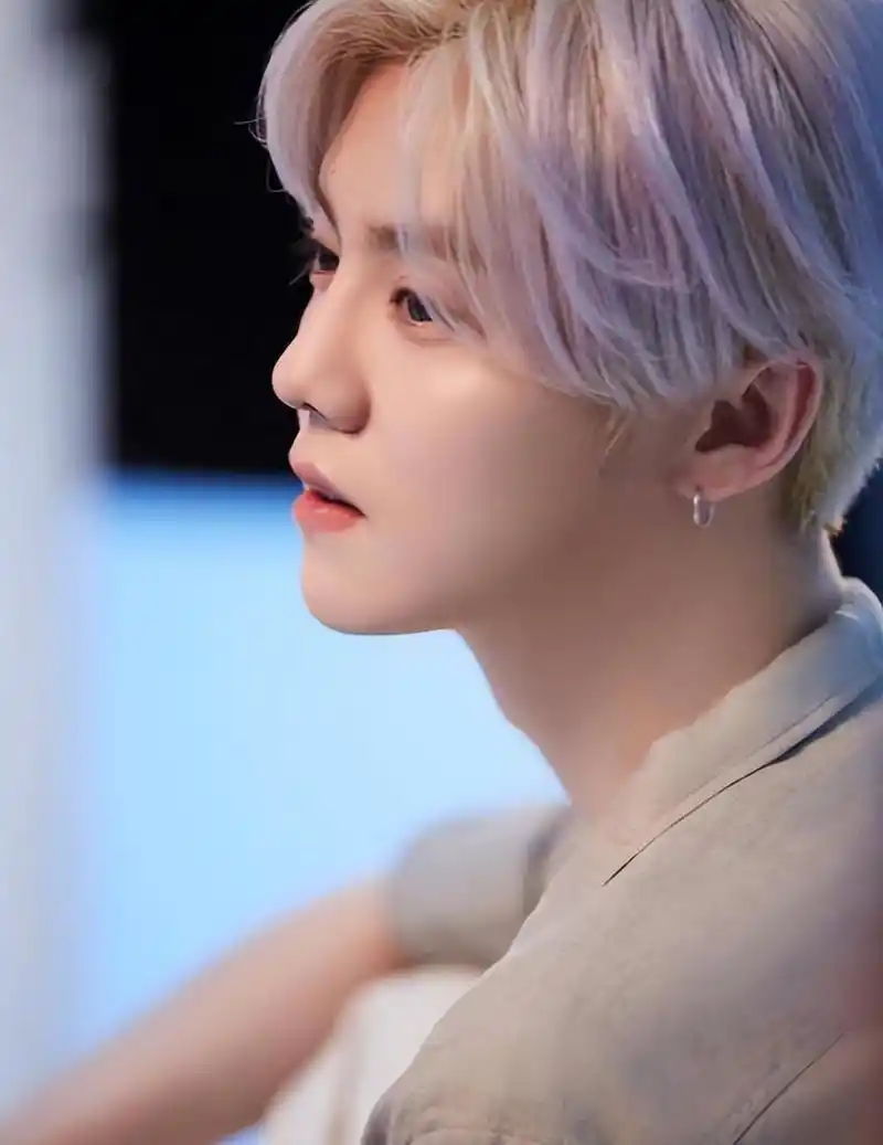 鹿晗代言风波:呼吁品牌道德与社会责任,共筑健康内娱环境 鹿晗代言