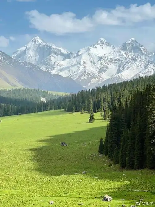 壁纸 草原 桌面 690_920 竖版 竖屏 手机