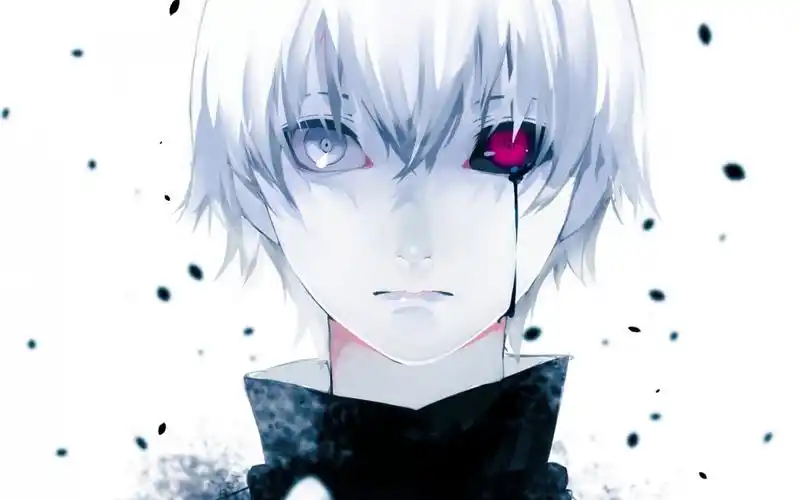 《东京喰种》白发男主金木研高清壁纸-卡通动漫-手机壁纸下载-美桌网