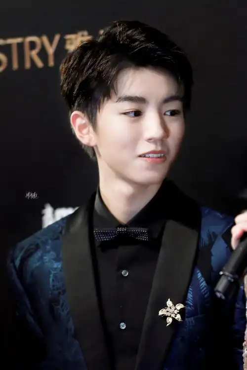 王俊凯 20171207 2017嘉人中国风盛典 cr:logo